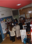 Img: 7